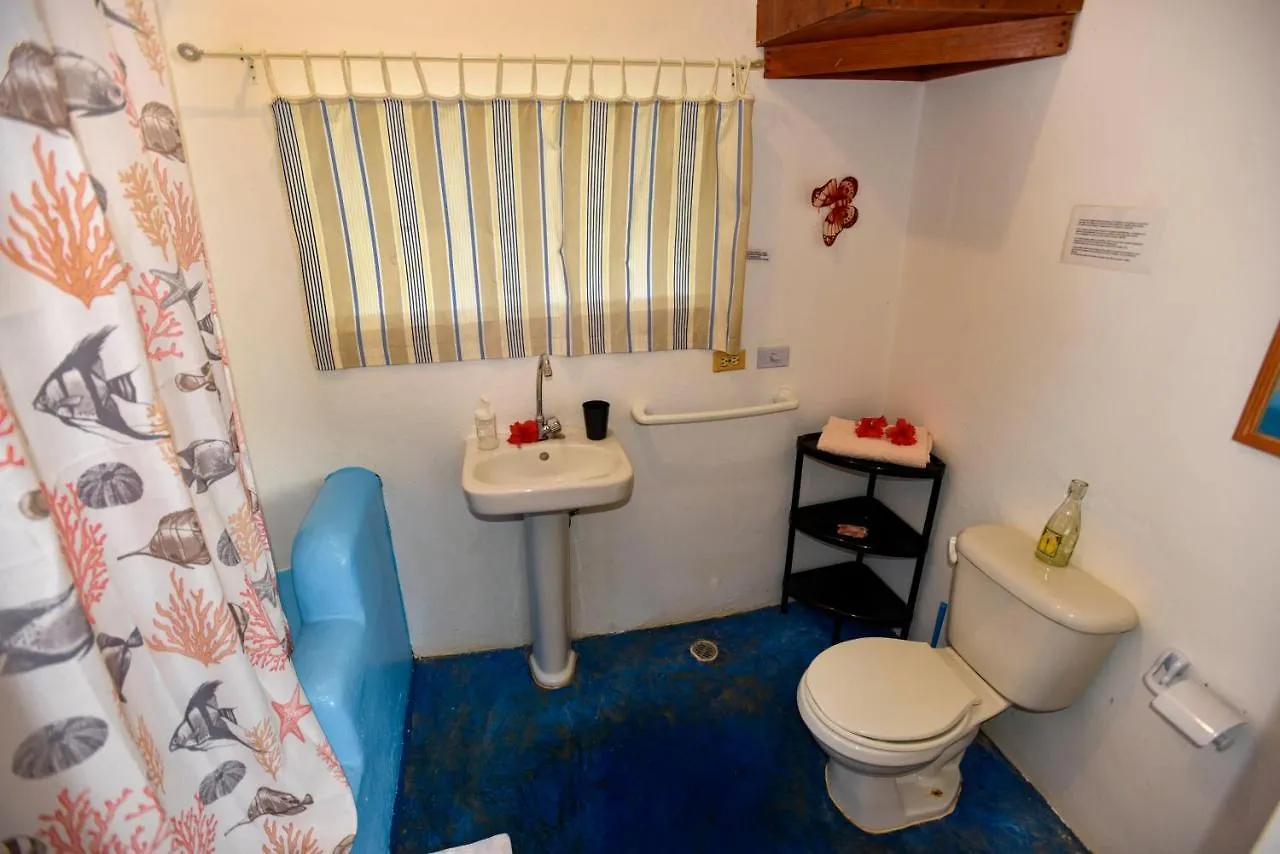 Las Mariposas Las Galeras Bed and breakfast