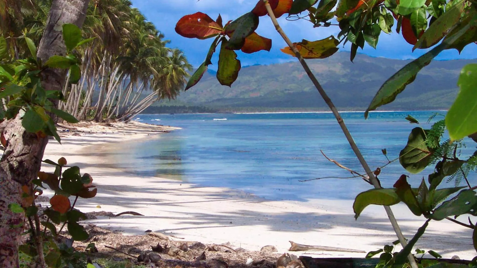 Bed and breakfast Las Mariposas Las Galeras