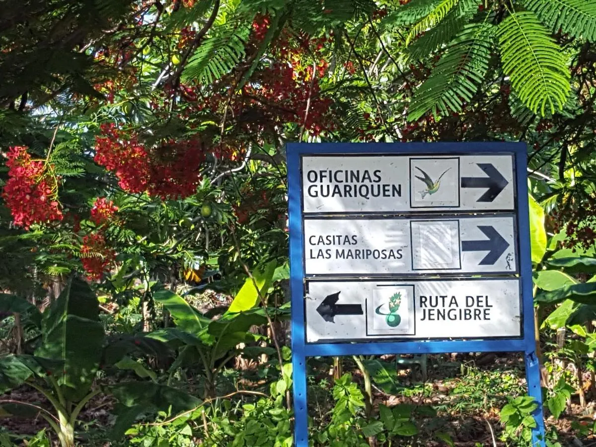 Las Mariposas Las Galeras 0*,  República Dominicana